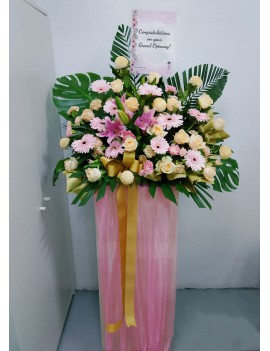 Pink Blessings