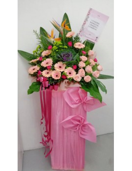 Coral Pink Blessing