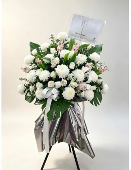 Gentle Remembrance